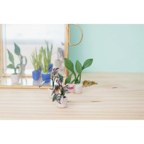 Cernit Starter Kit Tiny Plants