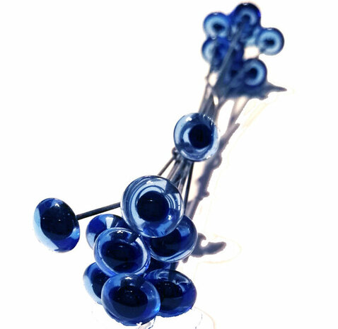 Oog Blauw productweergave