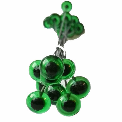 Oog Groen productweergave